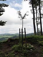  17. Juni 2012 - beim Ginkgo nach einer langen Wanderung über die Meldegg angekommen